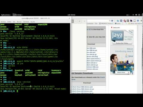how to know jdk path in linux