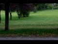 Chateau de Versailles Park - YouTube