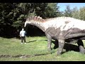 Gigantes patagonicos.MP4 Gigantes patagonicos.MP4
