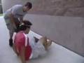 Backflip Concusion