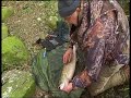 Fish Handling and Release Techniques from land