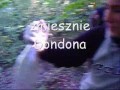 ?mieciarze Z Buszu