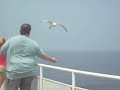 Block Island Ferry