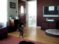 Sophie, Strider and Roma