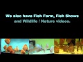 Welcome Everybody!  -  Gwynnbrook Farm Channel Trailer