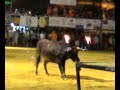 Fiestas patronales 2008 puerto2