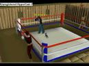 Rs Boxing Match: Me vs. Broncos478 *Im not an animal abuser!