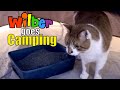 Wilber Goes Camping (Episode 7)