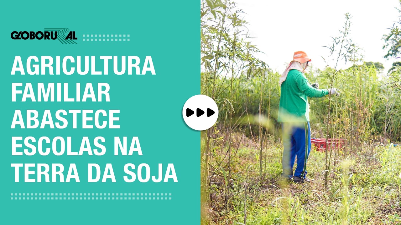Agricultura familiar abastece escolas na terra da soja | Globo Rural