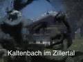 Die Alpen