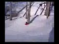Sean Hits a Tree Sean Hits a Tree