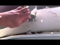 IMG 0420