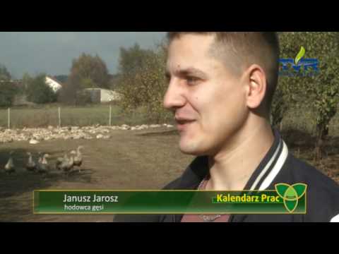 Kalendarz Prac odc. 7