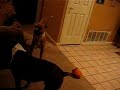 Diesel and Dozer Playing