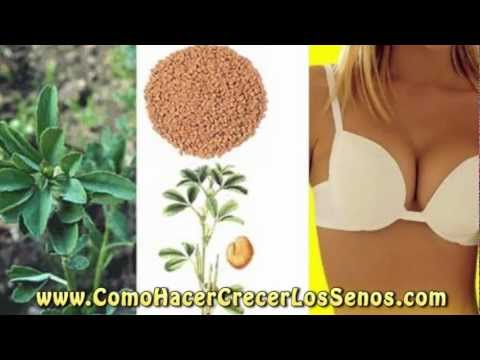 Como aumentar el pecho en 3 minutos