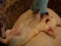New Puppy :D