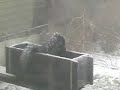 A Snow Covered Black Squirrel