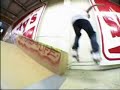 Skate Punk Skate Punk