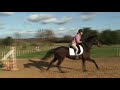 beau and i week 4.wmv beau and i week 4.wmv