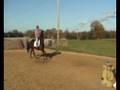 videos de beau and i week 4.wmv