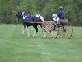 Video_2.MOV abbott driving pony