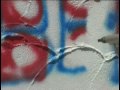 Eurorubber Grafittientfernung mit Universalstrahlgerät