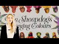 Video The Sheepdogs - I've Got A Hole Where My Heart Should Be Video The Sheepdogs - I've Got A Hole Where My Heart Should Be