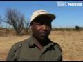 BEE Programme Nestlé, South Africa