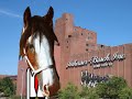 Ask Budweiser To Step Down From The Chamber Of Commerce