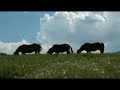 Parco Nazionale del Gran Sasso e monti della Laga - Teramo