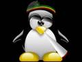 clip video Rasta Bigoud Kaliman
