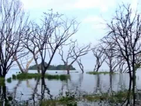 Lago Los Tacariguas - Lo que no pudo hacer Rafael Isea le quedo grande Aragua Y sus compañeros de gobierno : Freddy Arenas, Prof. Henry Crespo (Presidente), Dr. Aníbal José Lanz P...