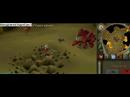 runescape glitch!!