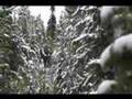 Shiras Moose call in 2