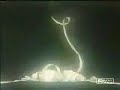 Yu Yu Hakusho-Perfect World