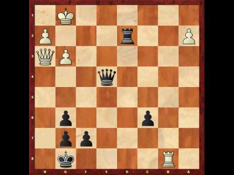 chess computer