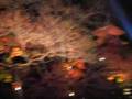 Kiyomizu temple