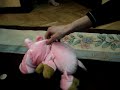 Pigwalk Pigwalk