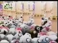 �motion surat Ya sin taraweeh 1428