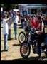 submitted by farmvillewebmaster on Thu Jun 5 2008 at 01:18am
