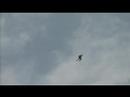 BASE Jump from Paraglider