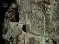 Audi quattro: Sieg einer Idee - Motorvision classic