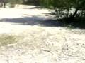 Moto cross