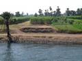 A las orillas del Nilo