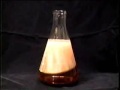Crystallization of homemade sodium acetate