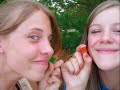 lutheran summer music 2008
