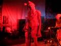 Dragibus live in Szentendre