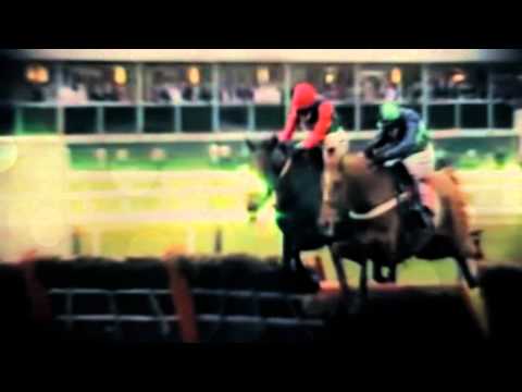 racing results cheltenham