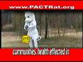 PACT RAT