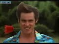 Dear Sister Ace Ventura Parody Dear Sister Ace Ventura Parody